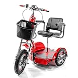 CHALLENGER X Recreational Electric Mobility Scooter Ride Seated or Standing with Deluxe Folding Seat J750DLX